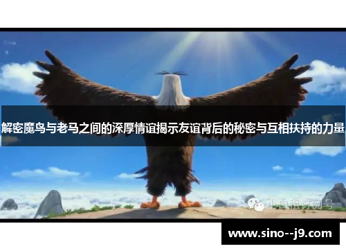 解密魔鸟与老马之间的深厚情谊揭示友谊背后的秘密与互相扶持的力量