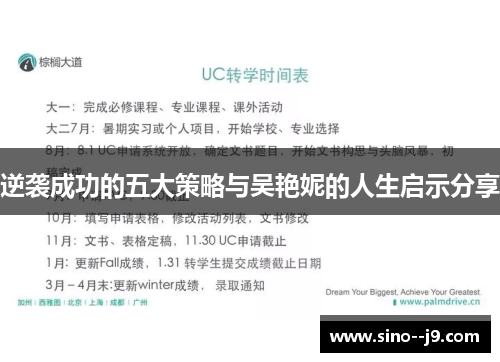 逆袭成功的五大策略与吴艳妮的人生启示分享