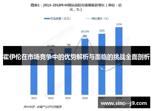 霍伊伦在市场竞争中的优势解析与面临的挑战全面剖析