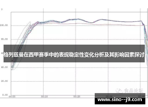 格列兹曼在西甲赛季中的表现稳定性变化分析及其影响因素探讨